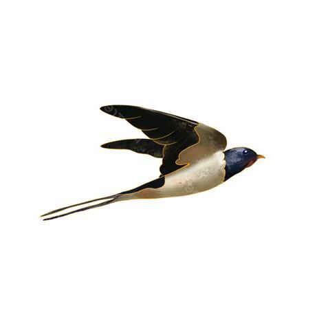 燕子 候鳥